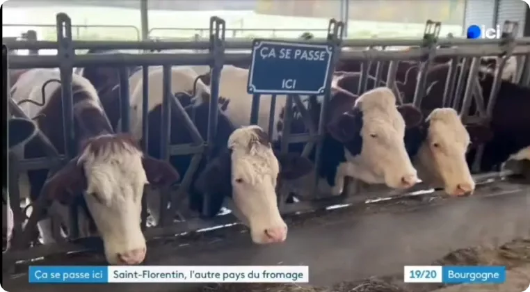 Notre ferme dans le 19/20 Bourgogne